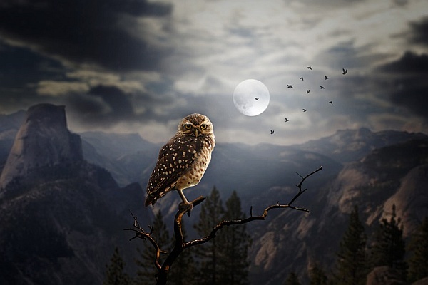 Sagittarius Full Moon