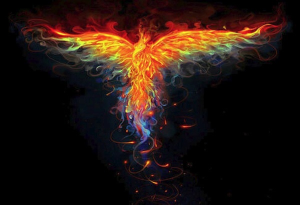 Phoenix phoenix