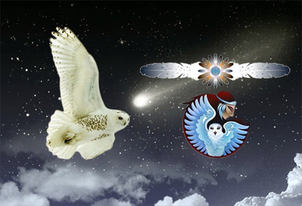 Snowy Owl And Shooting Star
