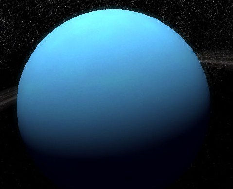 Uranus uranus
