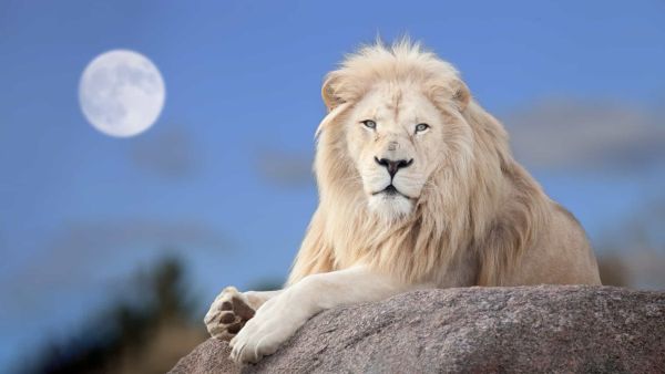 August Astrology - 2022