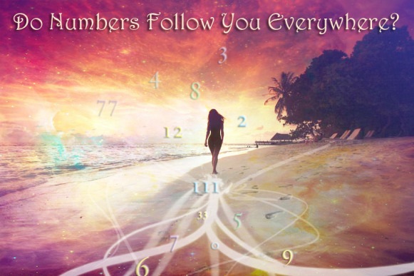 numbers-follow