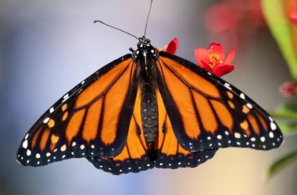 Full Moon September 10, 2022 – Refreshing Change Full Moon September 10, 2022 – Refreshing Change
