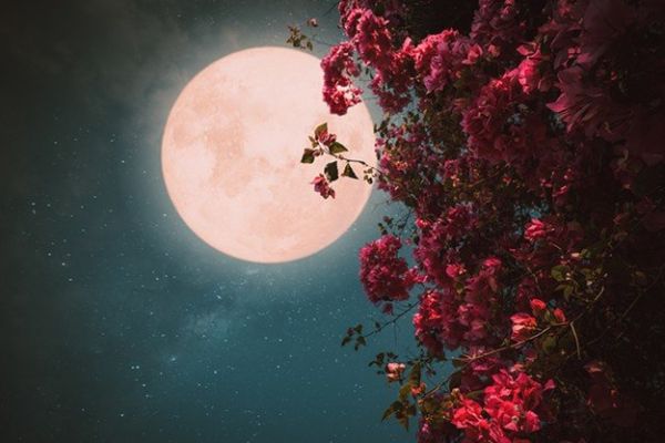 The Full Moon In Libra 2023