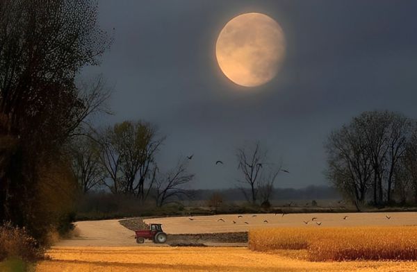 The Full Moon In Gemini And The Mars Opposition The Full Moon In Gemini And The Mars Opposition
