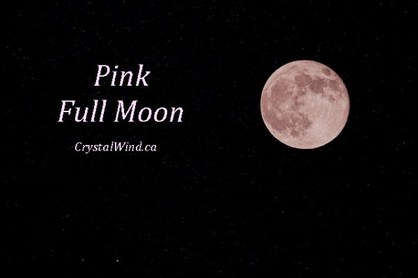 Full Moon Update 4-5-23