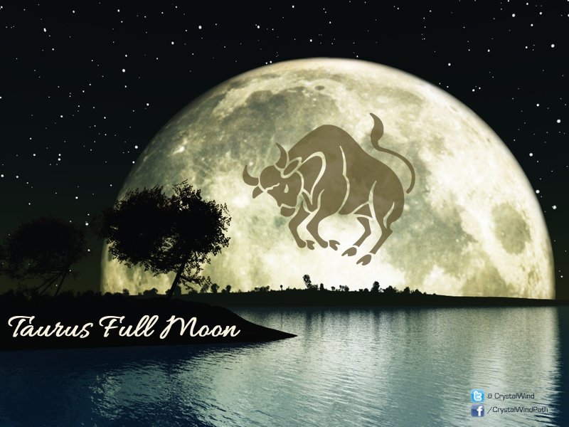 Full Moon Update 11-12-19