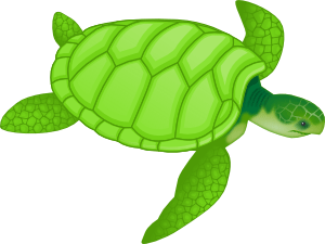 clan_turtle