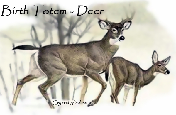 Birth Totem - Deer