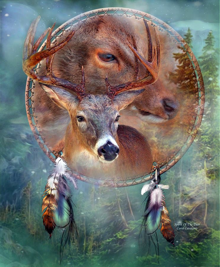 dream-catcher--spirit-of-the-deer