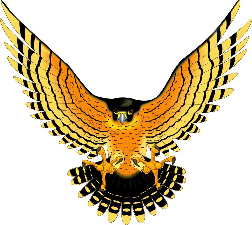 Birth Totem - Falcon