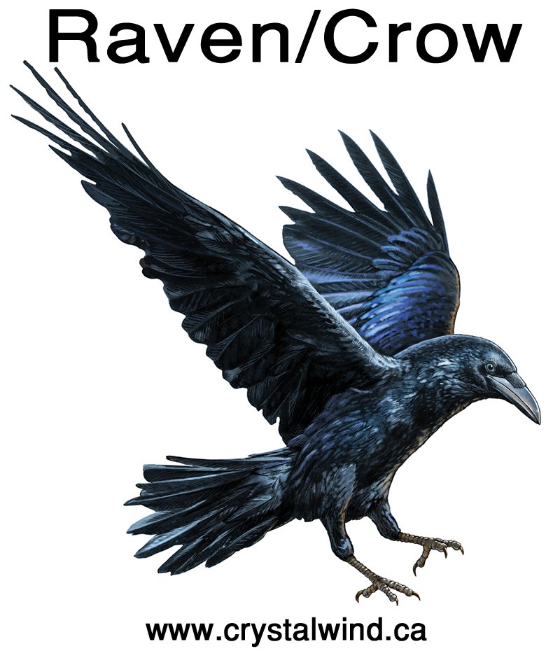 Birth Totem - Raven or Crow Birth Totem - Raven or Crow