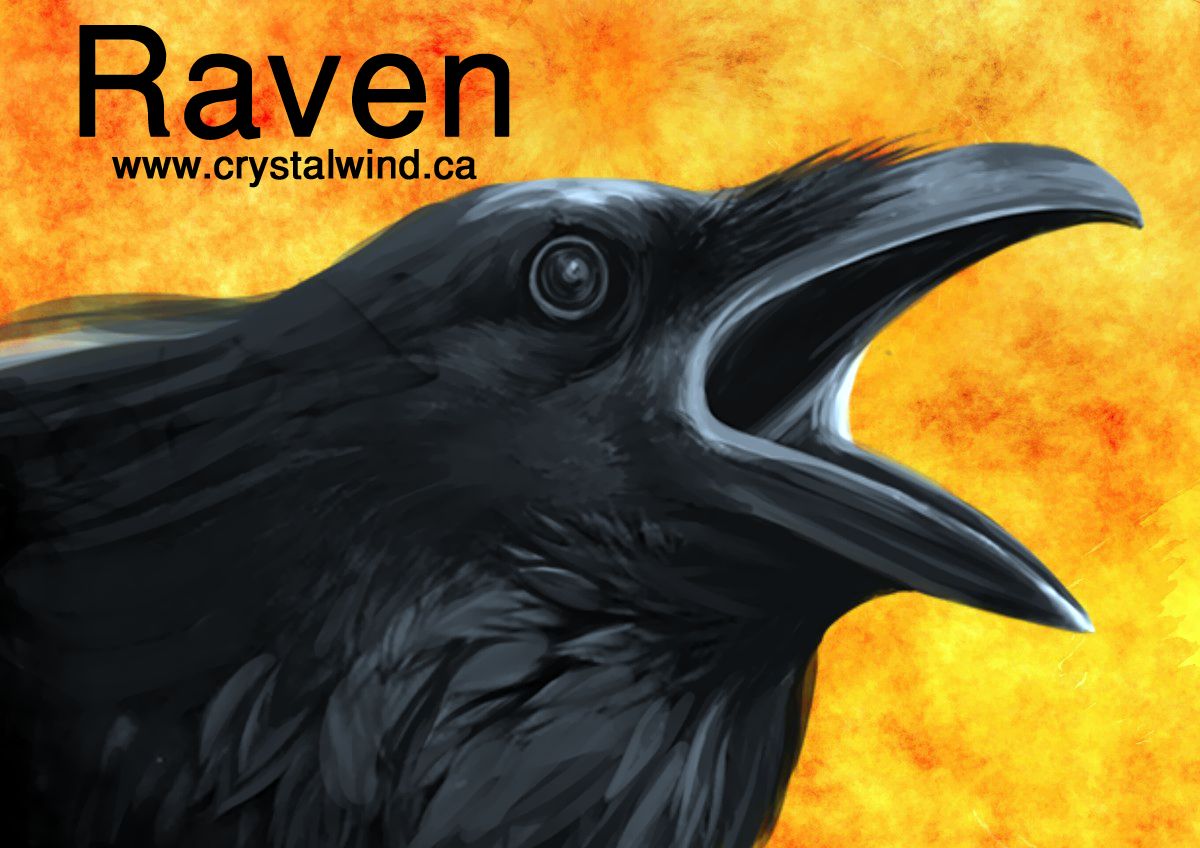 Ground Ivy raven crow