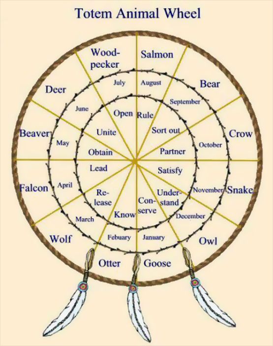 Native American Totem Animal Wheel totem-animal-wheel