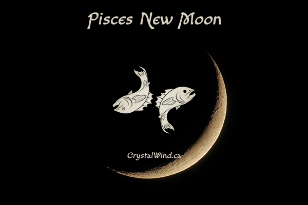 The February 2020 New Moon at 5 Pisces Pt. 1