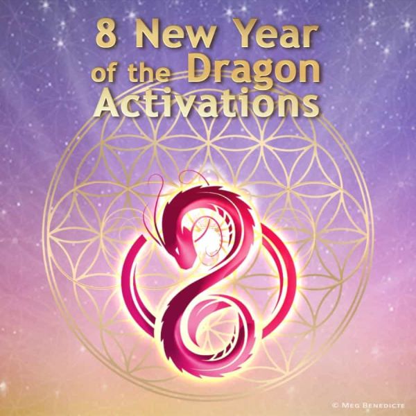 Ignite 2025 Year of Abundance Earth Shift Energy