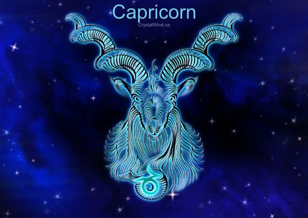 Capricorn 2022 - Reliable Organized Earth Spirits