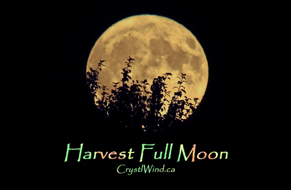 The September 2019 Harvest Full Moon of 22 Pisces-Virgo Pt. 2