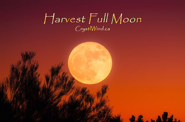 The September 2019 Harvest Full Moon of 22 Pisces-Virgo Pt. 3