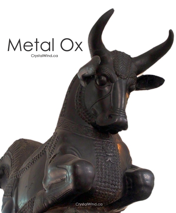 2021 - Year of the Metal Ox 2021 - Year of the Metal Ox