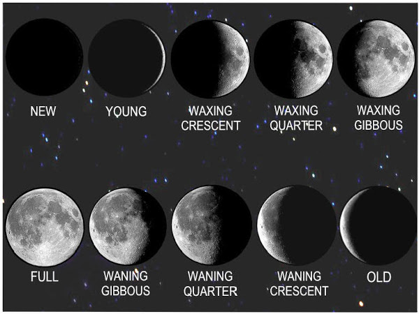 The Progressed Moon The Progressed Moon