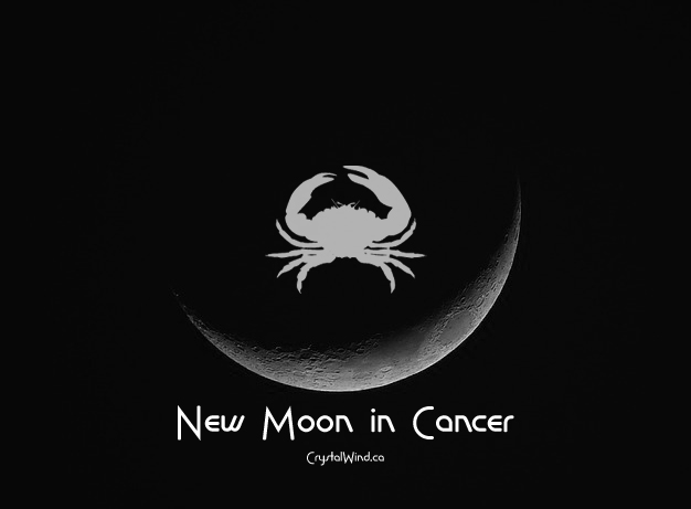 The June 2022 New Moon at 8 Cancer Pt. 1 The June 2022 New Moon at 8 Cancer Pt. 1