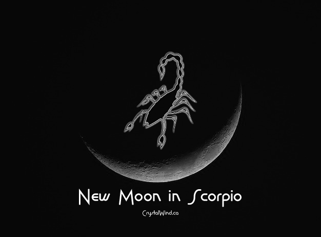 The November 2024 New Moon at 10 Scorpio Pt. 1 The November 2024 New Moon at 10 Scorpio Pt. 1
