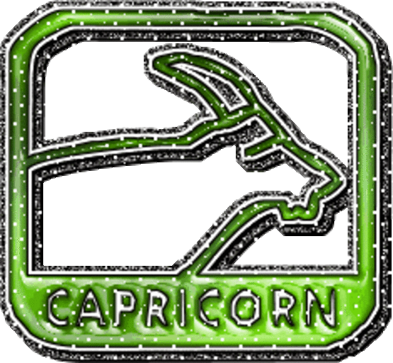 Sun in Capricorn Sun in Capricorn
