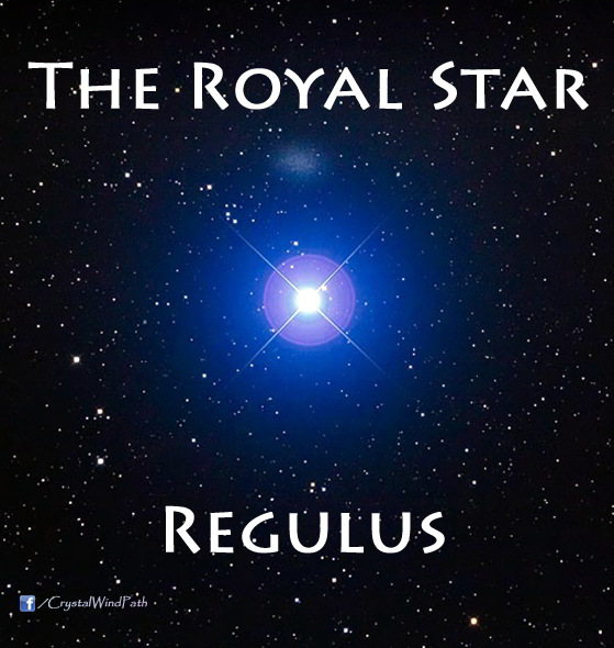 Regulus regulus