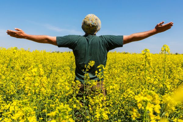 August 2025 Astrology Insights: Making the Most of Shifting Energy Let August’s shifting energy move through you. Accept the change, embrace your growth.