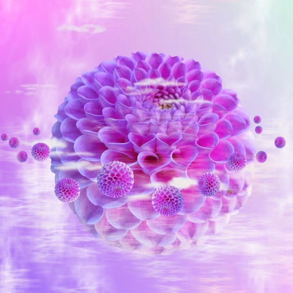 New Moon in Pisces Conjunct Venus and Neptune New Moon in Pisces Conjunct Venus and Neptune