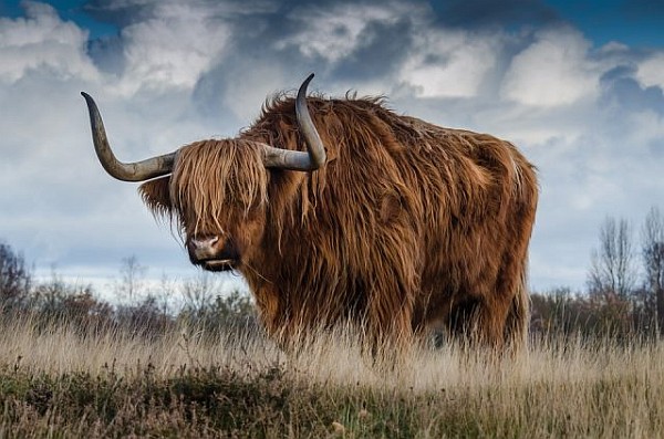 March 2019 - April 2026 Uranus in Taurus March 2019 - April 2026 Uranus in Taurus