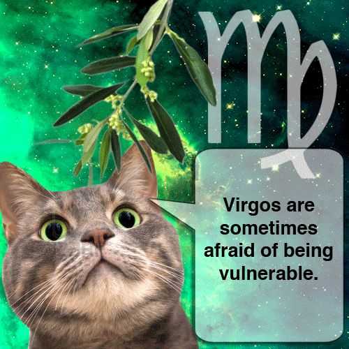 Virgo Relationships virgos are sometimes afraid of being vulnerable