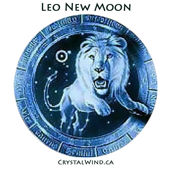 The New Moon in Leo The New Moon in Leo