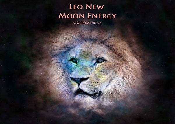 The New Moon in Leo