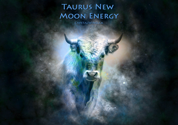 The New Moon in Taurus The New Moon in Taurus