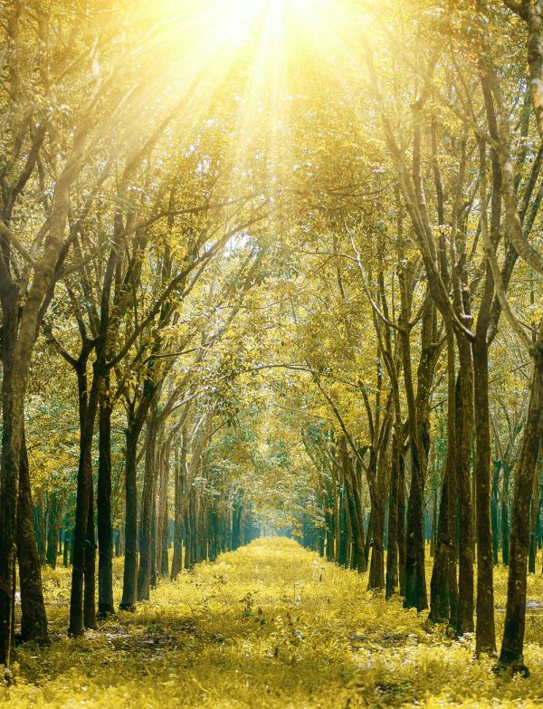Accessing the New Expansion & the Energies of Inexplicable Joy - Archangel Michael Accessing the New Expansion & the Energies of Inexplicable Joy - Archangel Michael