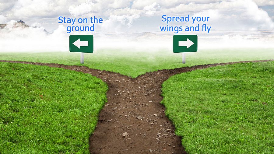 which-path