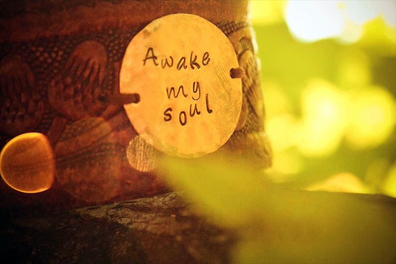 Awake My Soul awake-my-soul