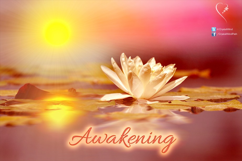 What is Awakening What is Awakening