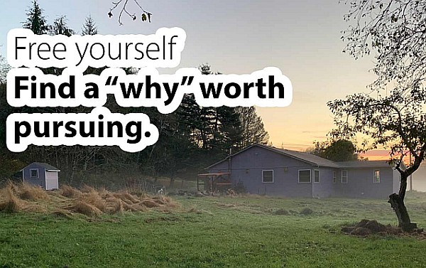 Your “Why” For Life Is Important And It’s Not “Happiness” Your Why For Life Is Important And It’s Not Happiness