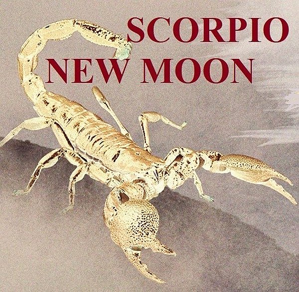 The Spiritual Impact The Scorpio New Moon Is Providing