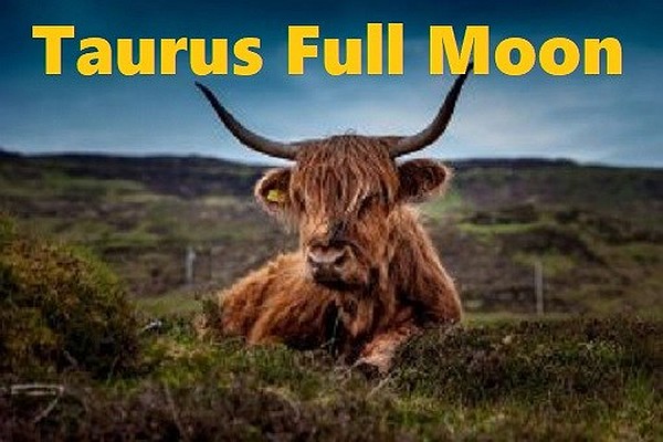 The Spiritual Impact We Can Expect From The Taurus Full Moon