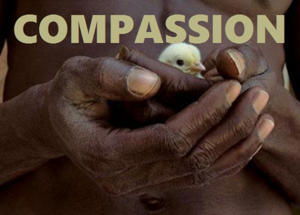 When Compassion And Emotional Intelligence Guide comp