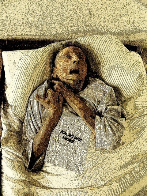 Euthanasia: Blessing or Bloodbath? Euthanasia: Blessing or Bloodbath?