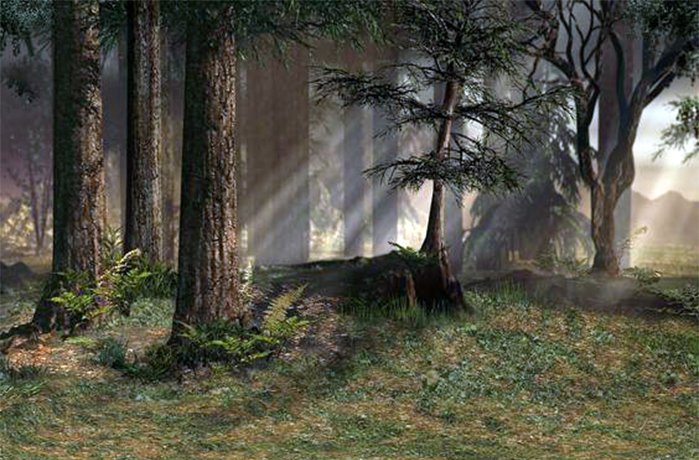 The Healing Power of Mother Nature background forest