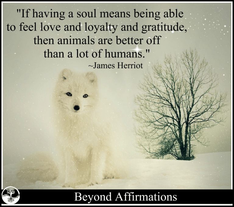The Spirit of Love beyond affirm