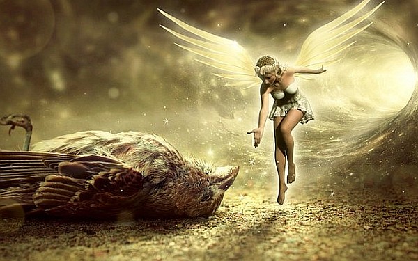 There Is No Such Thing As Death There Is No Such Thing As Death