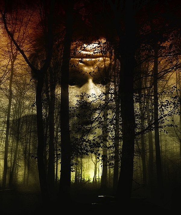 Danger Is Lurking All Over the Place Danger Is Lurking All Over the Place