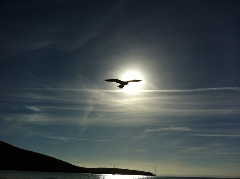 The Hidden Power of Inner Peace los cabos